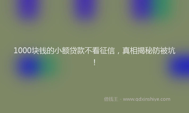 1000块钱的小额贷款不看征信，真相揭秘防被坑！