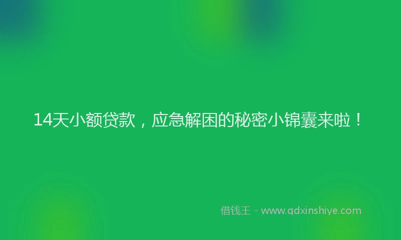 14天小额贷款，应急解困的秘密小锦囊来啦！