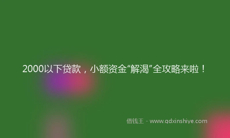 2000以下贷款，小额资金“解渴”全攻略来啦！