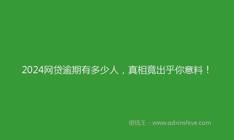 2024网贷逾期有多少人，真相竟出乎你意料！