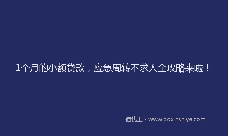 1个月的小额贷款，应急周转不求人全攻略来啦！