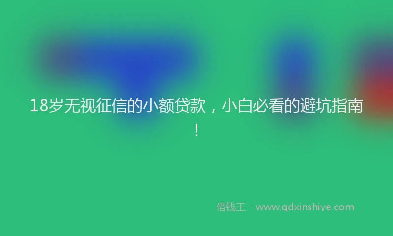 18岁无视征信的小额贷款，小白必看的避坑指南！