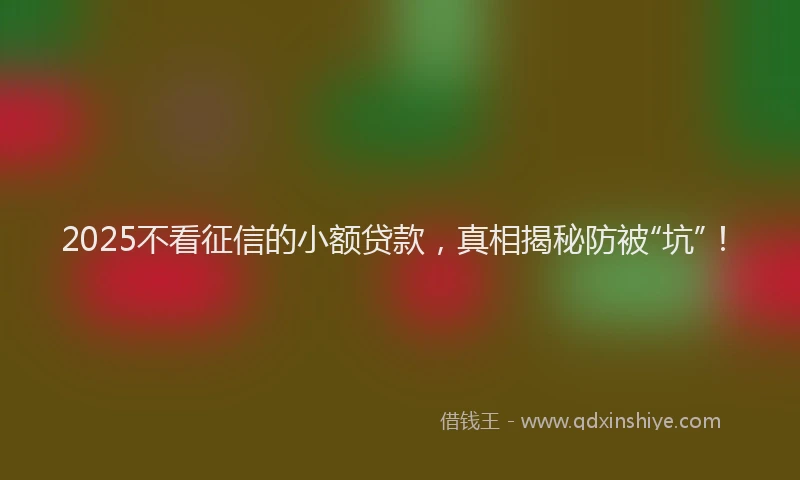 2025不看征信的小额贷款，真相揭秘防被“坑”！