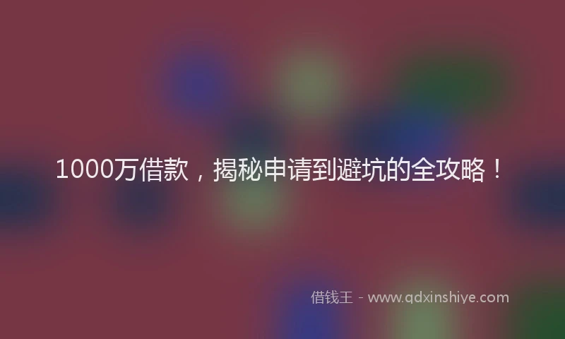 1000万借款，揭秘申请到避坑的全攻略！