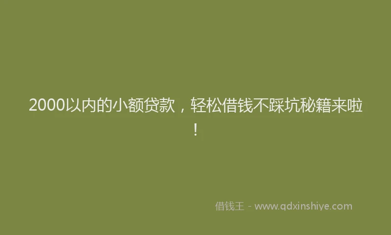2000以内的小额贷款，轻松借钱不踩坑秘籍来啦！