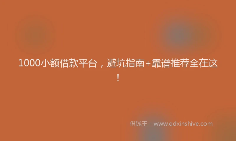1000小额借款平台，避坑指南+靠谱推荐全在这！