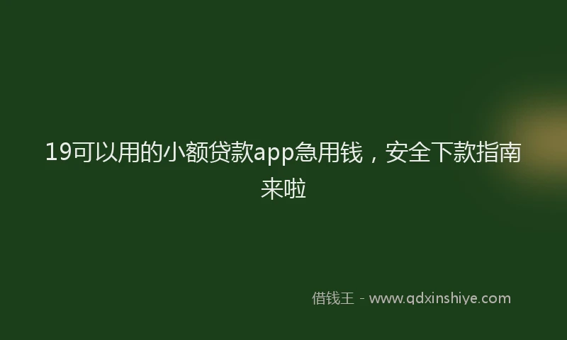 19可以用的小额贷款app急用钱，安全下款指南来啦