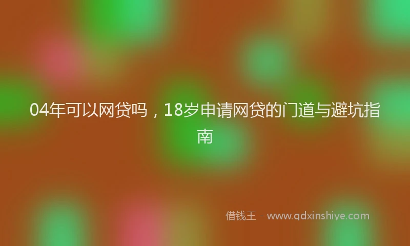 04年可以网贷吗，18岁申请网贷的门道与避坑指南