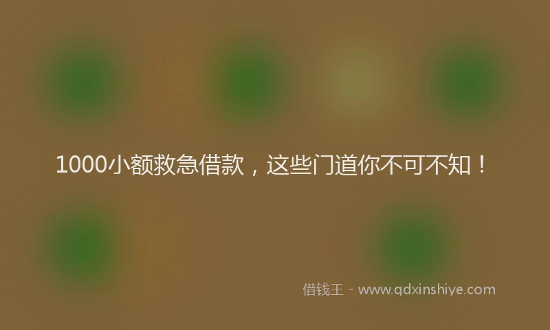 1000小额救急借款，这些门道你不可不知！
