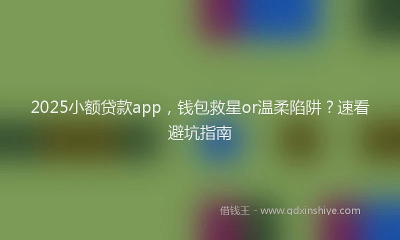 2025小额贷款app，钱包救星or温柔陷阱？速看避坑指南