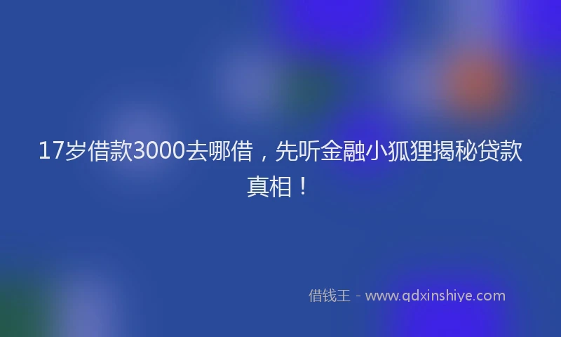 17岁借款3000去哪借,先听金融小狐狸揭秘贷款真相!