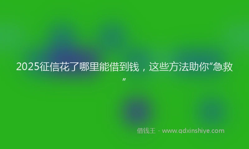 2025征信花了哪里能借到钱，这些方法助你“急救”