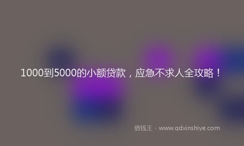 1000到5000的小额贷款，应急不求人全攻略！