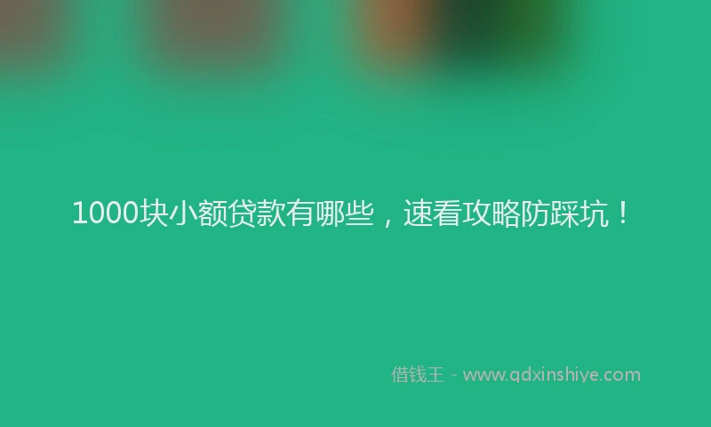 1000块小额贷款有哪些，速看攻略防踩坑！