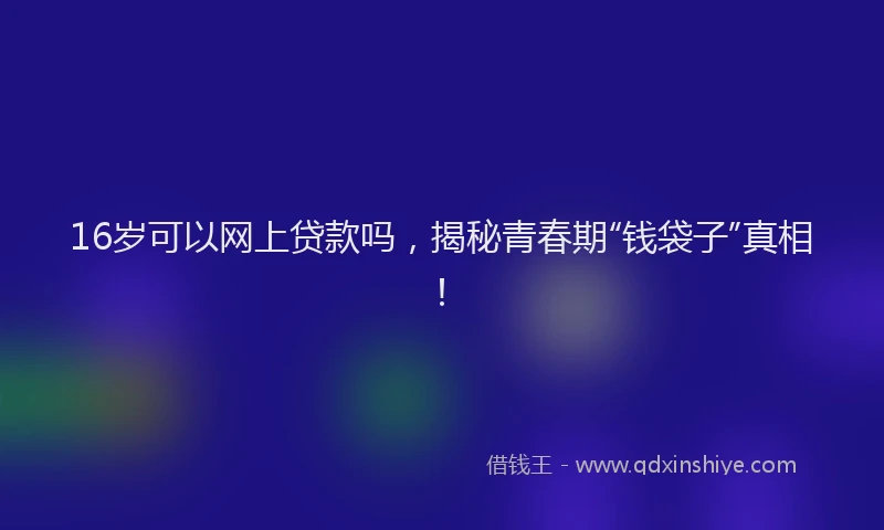 16岁可以网上贷款吗，揭秘青春期“钱袋子”真相！