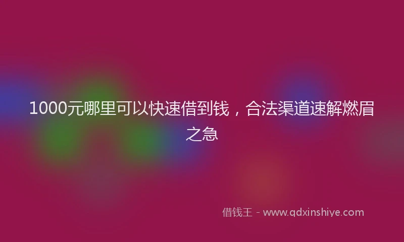 1000元哪里可以快速借到钱，合法渠道速解燃眉之急
