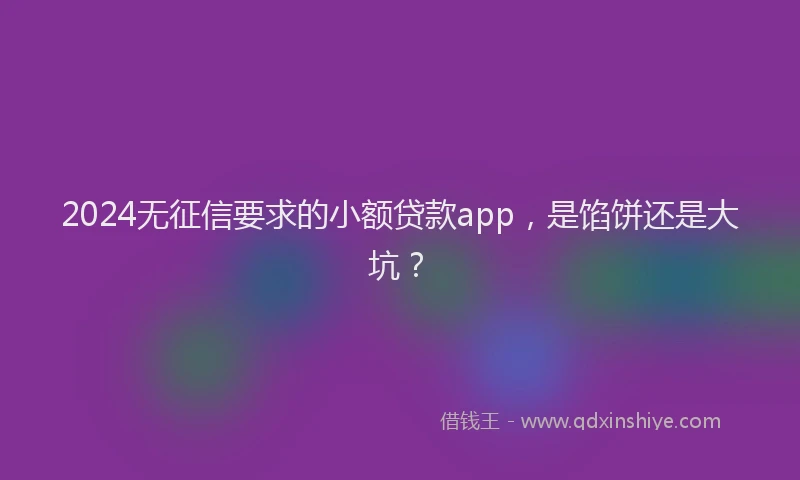 2024无征信要求的小额贷款app，是馅饼还是大坑？