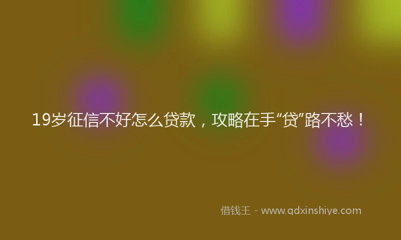 19岁征信不好怎么贷款，攻略在手“贷”路不愁！