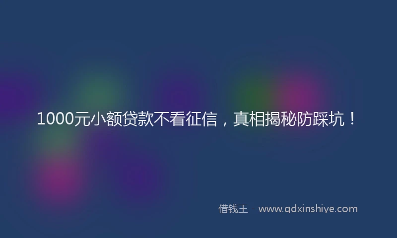 1000元小额贷款不看征信，真相揭秘防踩坑！