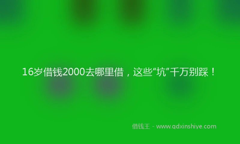 16岁借钱2000去哪里借，这些“坑”千万别踩！