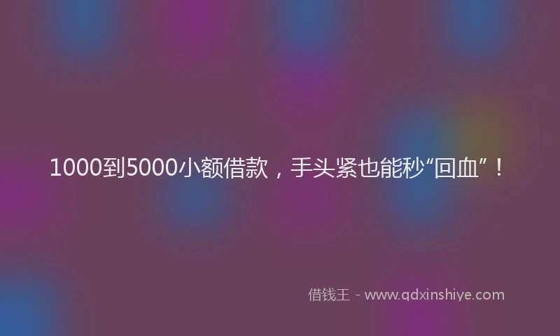 1000到5000小额借款，手头紧也能秒“回血”！