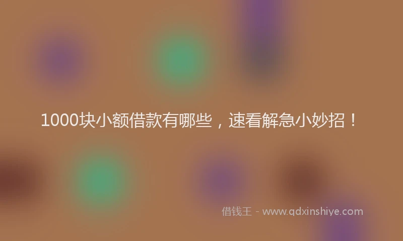 1000块小额借款有哪些，速看解急小妙招！