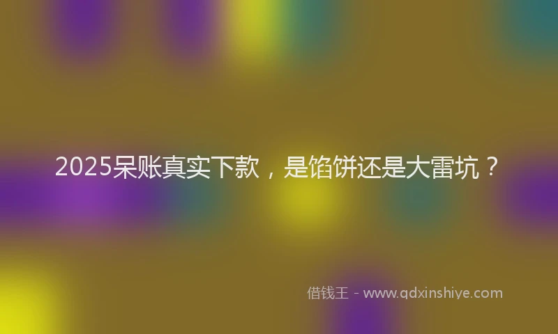 2025呆账真实下款，是馅饼还是大雷坑？