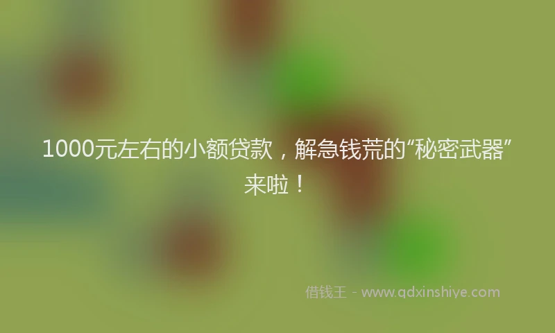 1000元左右的小额贷款，解急钱荒的“秘密武器”来啦！
