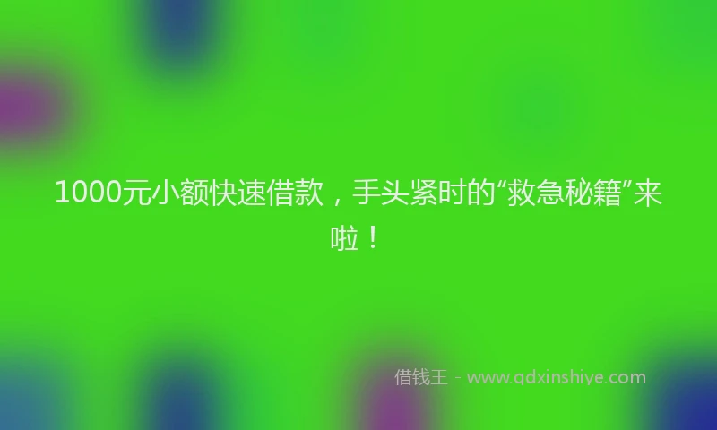 1000元小额快速借款，手头紧时的“救急秘籍”来啦！