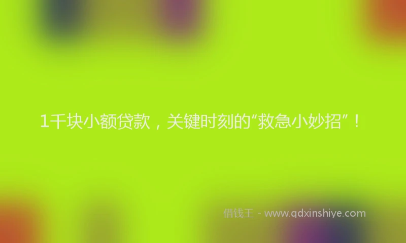 1千块小额贷款，关键时刻的“救急小妙招”！