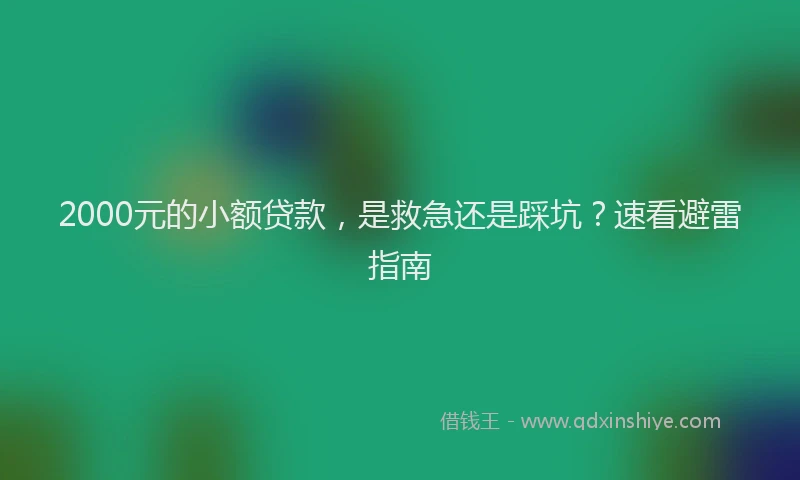 2000元的小额贷款，是救急还是踩坑？速看避雷指南