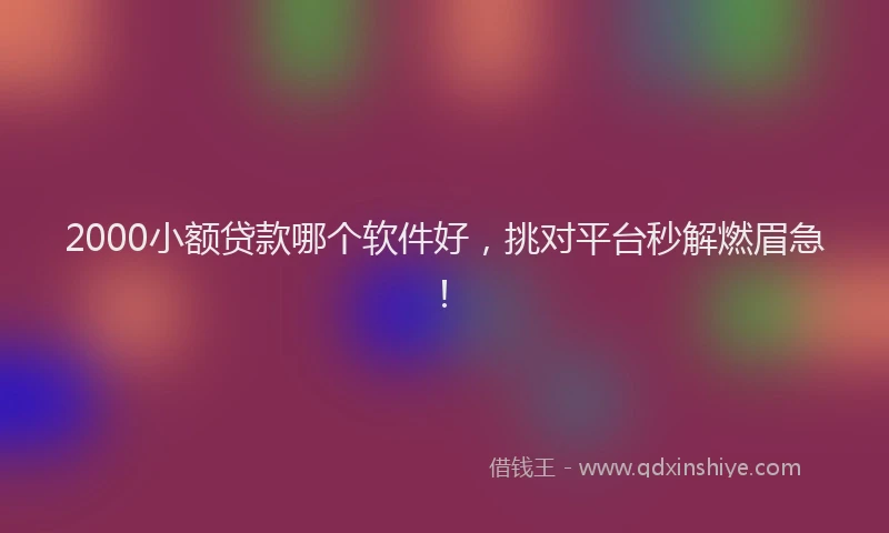 2000小额贷款哪个软件好，挑对平台秒解燃眉急！