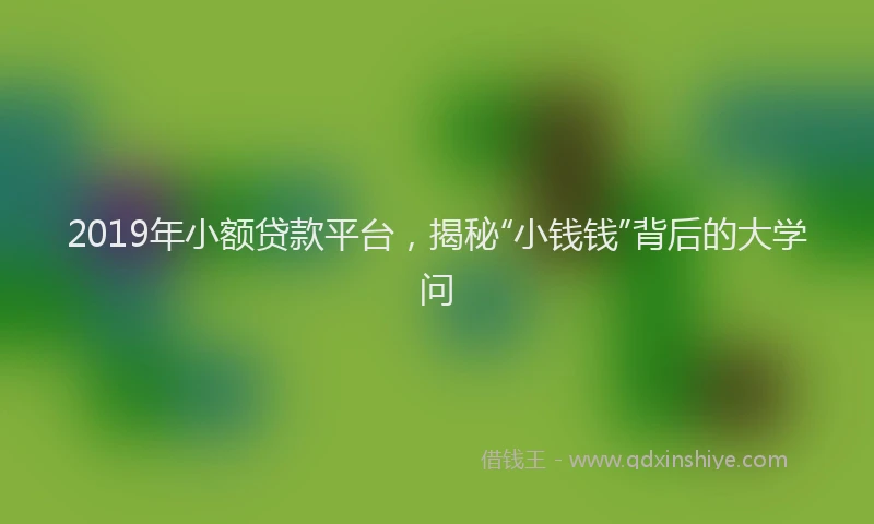 2019年小额贷款平台，揭秘“小钱钱”背后的大学问
