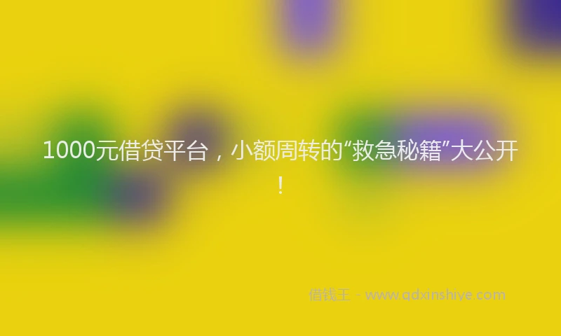 1000元借贷平台，小额周转的“救急秘籍”大公开！