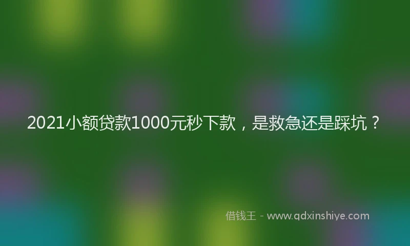 2021小额贷款1000元秒下款，是救急还是踩坑？