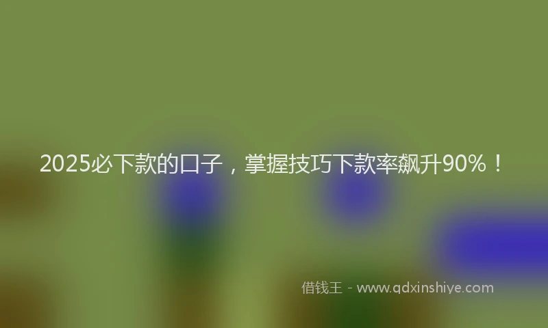 2025必下款的口子,掌握技巧下款率飙升90%!