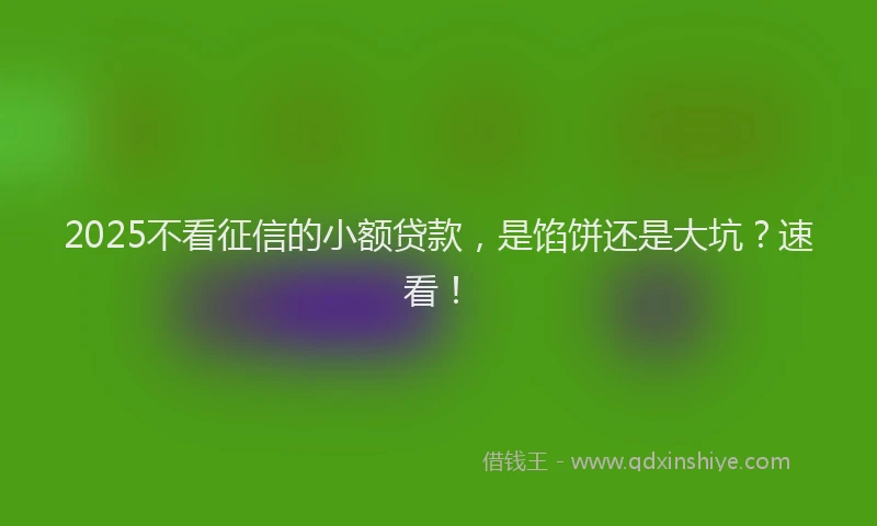 2025不看征信的小额贷款，是馅饼还是大坑？速看！