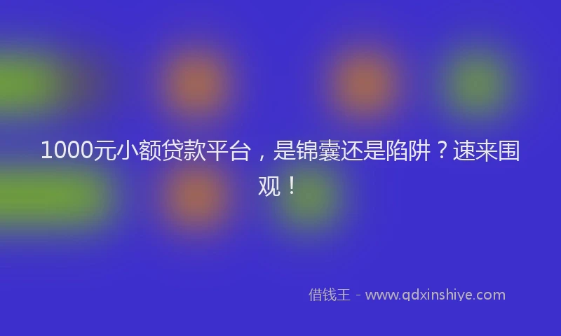 1000元小额贷款平台，是锦囊还是陷阱？速来围观！