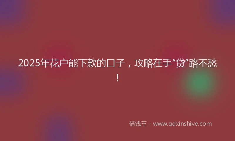 2025年花户能下款的口子,攻略在手“贷”路不愁!