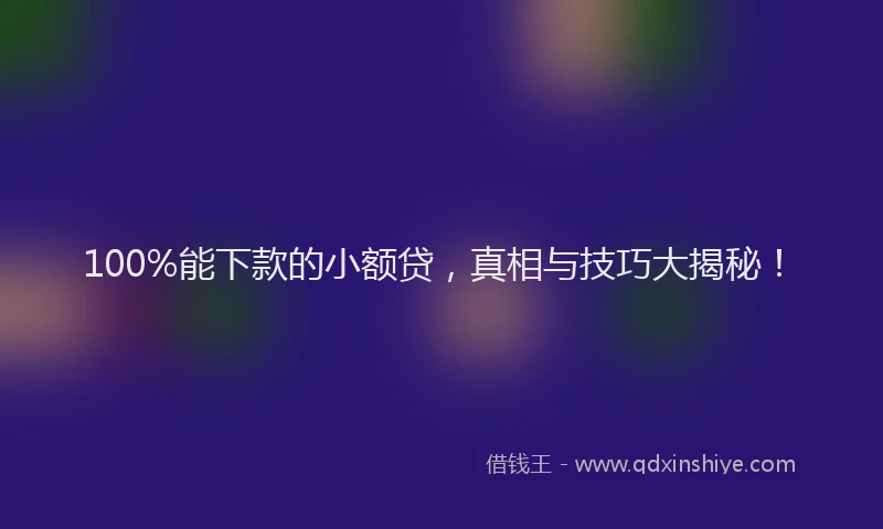 100%能下款的小额贷，真相与技巧大揭秘！