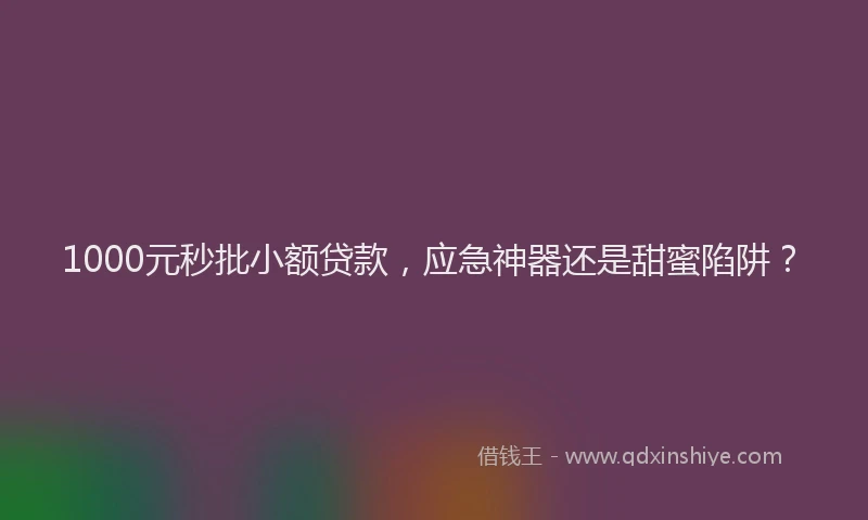 1000元秒批小额贷款，应急神器还是甜蜜陷阱？