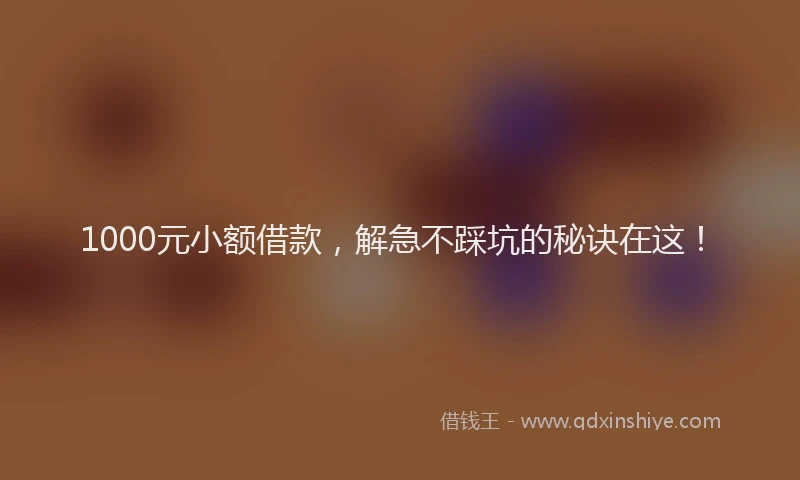 1000元小额借款，解急不踩坑的秘诀在这！