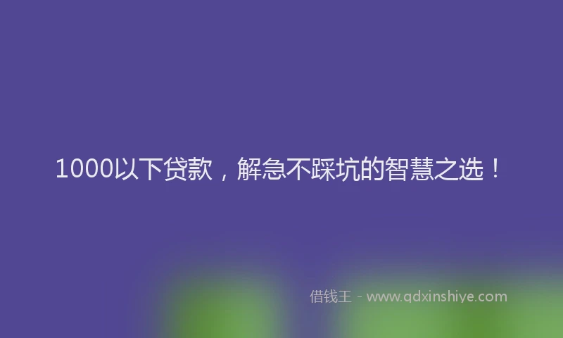 1000以下贷款，解急不踩坑的智慧之选！