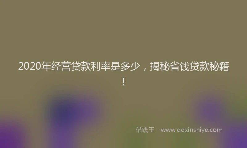 2020年经营贷款利率是多少，揭秘省钱贷款秘籍！
