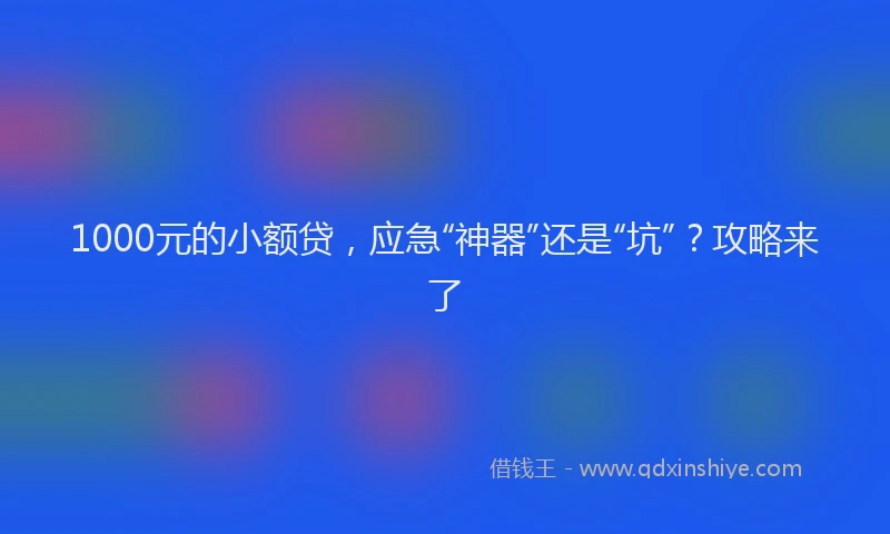 1000元的小额贷，应急“神器”还是“坑”？攻略来了
