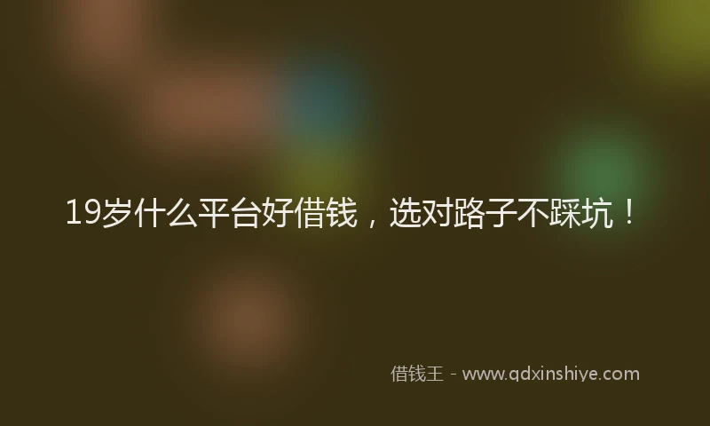 19岁什么平台好借钱，选对路子不踩坑！