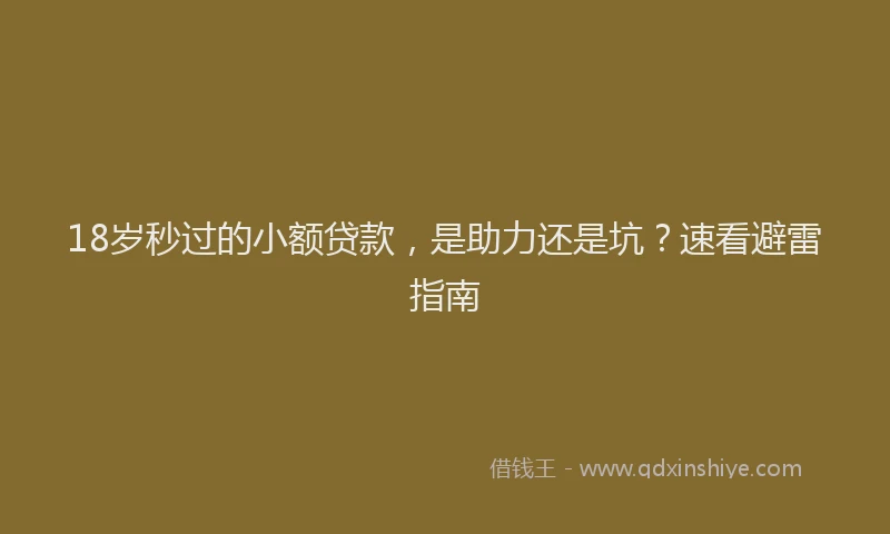 18岁秒过的小额贷款，是助力还是坑？速看避雷指南