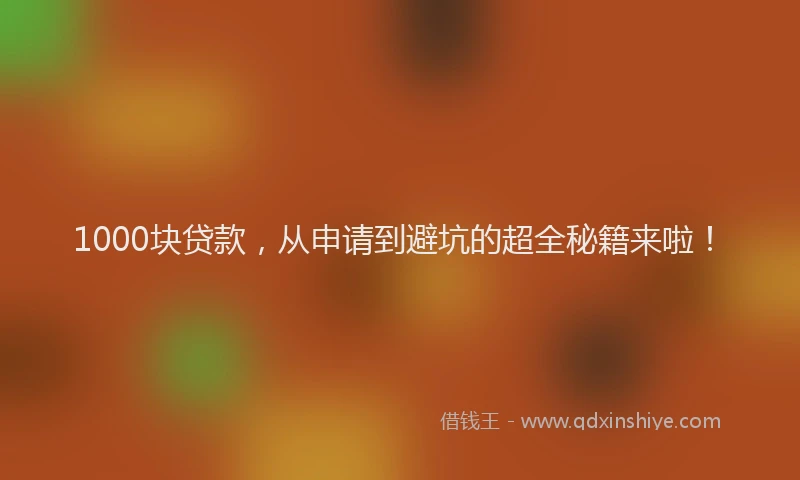 1000块贷款，从申请到避坑的超全秘籍来啦！