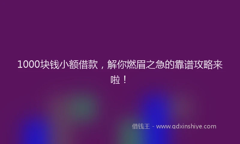 1000块钱小额借款，解你燃眉之急的靠谱攻略来啦！