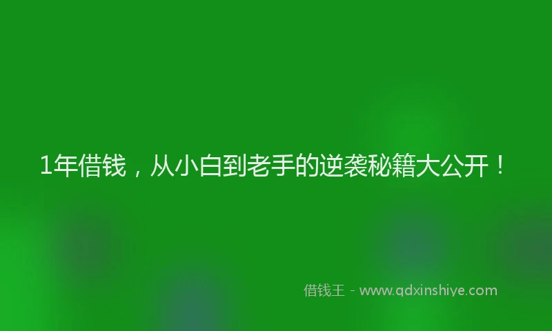 1年借钱，从小白到老手的逆袭秘籍大公开！